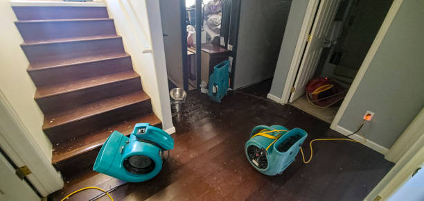 Best Water damage restoration insurance claims  in Gunter, TX