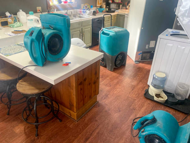 Best Basement water damage restoration  in Gunter, TX