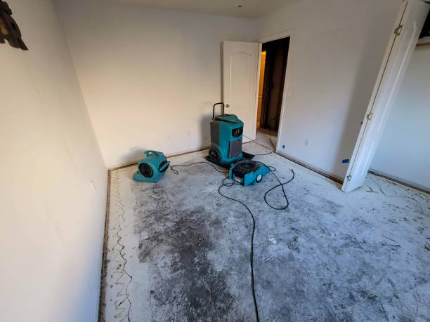 Best Water damage contractors near me  in Gunter, TX