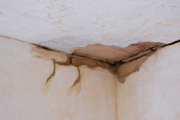 Best Sewage cleanup and water damage restoration  in Gunter, TX