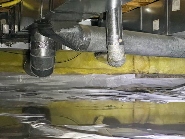 Best Local water damage restoration  in Gunter, TX